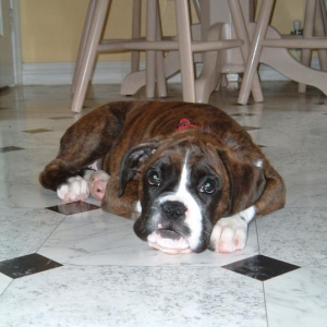 Ellie sulking!!!!!