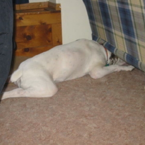 Where did I put that ball?