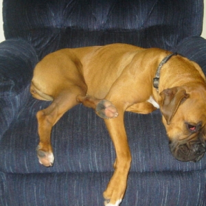 sleeping3