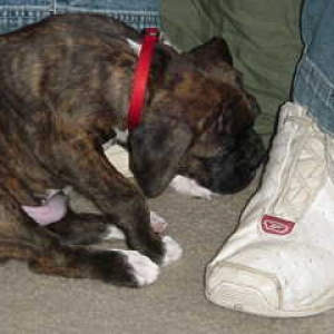 What Big Feet