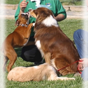 with dog and other friends...