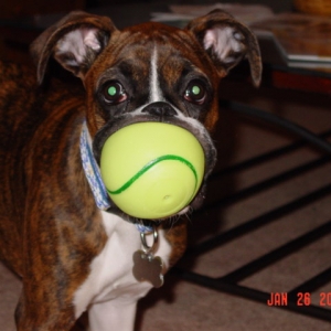Sadie and her ball...and her lips!
