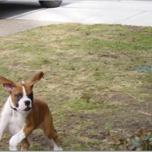 playing!