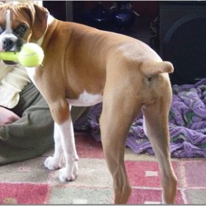 play with me