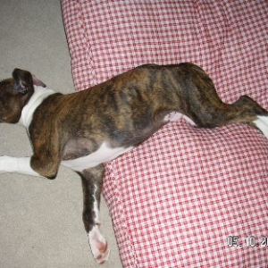 falling_off_the_pillow