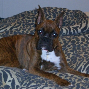 Just Resting on Mom's bed