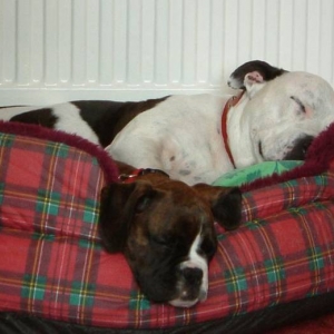 It must be love!!!