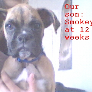 ~Senor Smokey~