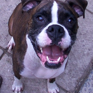 P?n?loppe's big face!