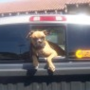 Takin' A Ride