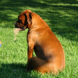 Enjoying the sunshine.