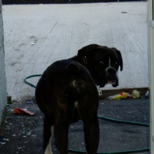 P1010077