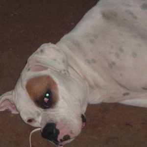 why do you keep bothering me?