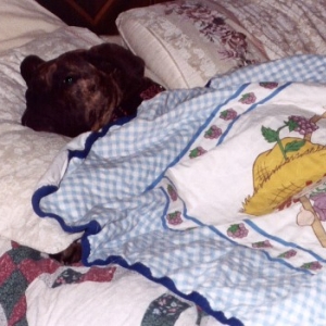 My New Blanket