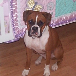 Charlie waiting for his little sister to arrive......