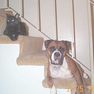 See?  I do get along with cats!!!!