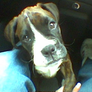 Lola