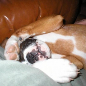 rough day