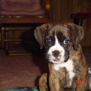 Layla 8.5 weeks