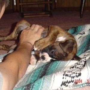 belly rubbin!