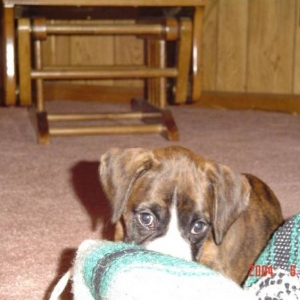 gettin Grandma's blanket