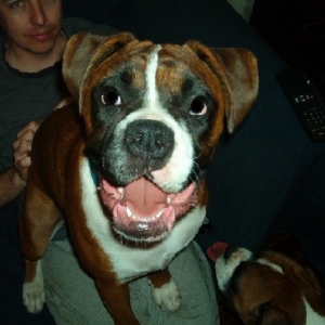 Maximus - Smile for the camera!