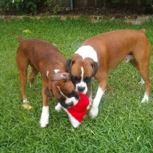 Where's Santa??