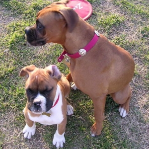 Almost 8 and 3 months old