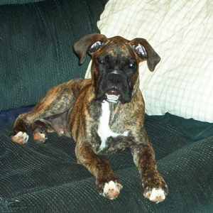 apollo_4mnths_so_tired