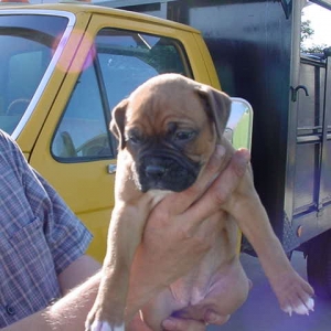 New Baby