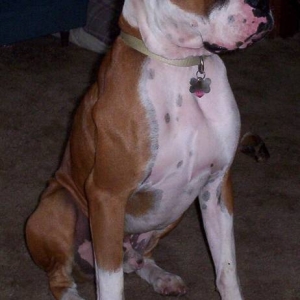 Tanner