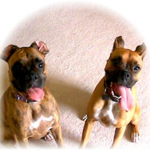 Ramy and Her Friend Barkley