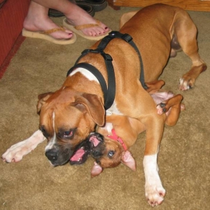 Count, hurry up she is starting to bite me!