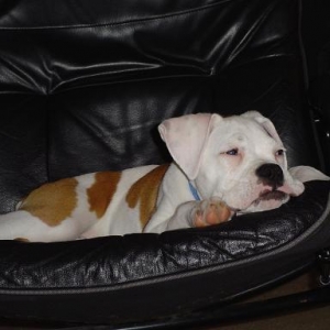 I had a long day