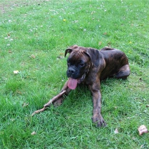oooo this grass is lovely
