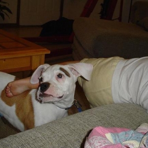 Mom tell Bailey to get off me!