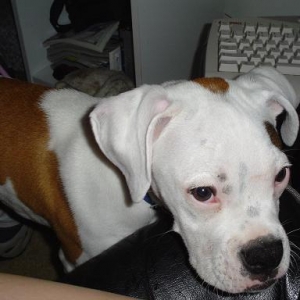 Can I play on the computer???