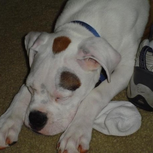 I miss my Daddy so I sleep with his socks