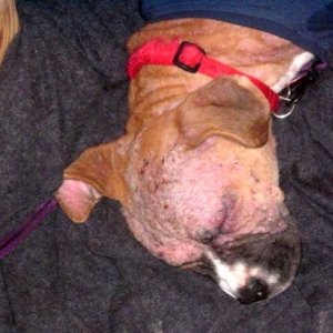 close-up of her head May 21