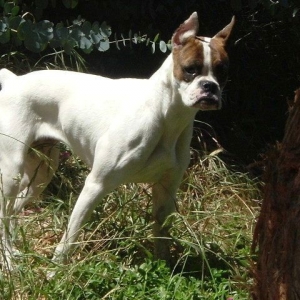 Sacha Posing  :-)