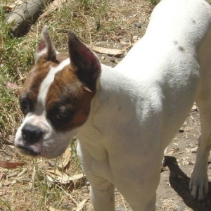 Sacha In Da Sun