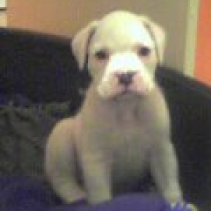 our baby