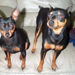 MinPins