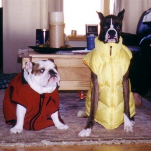 Ready to play in the snow!