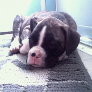 nap time