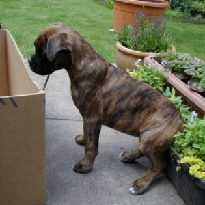 Max takes a seat!