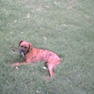 layin around