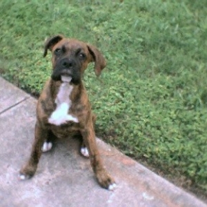 Look at the camera!