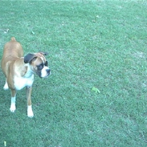 i know i saw a playmate