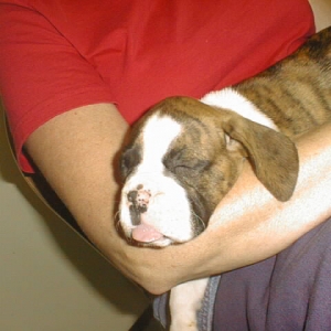 Very tired...